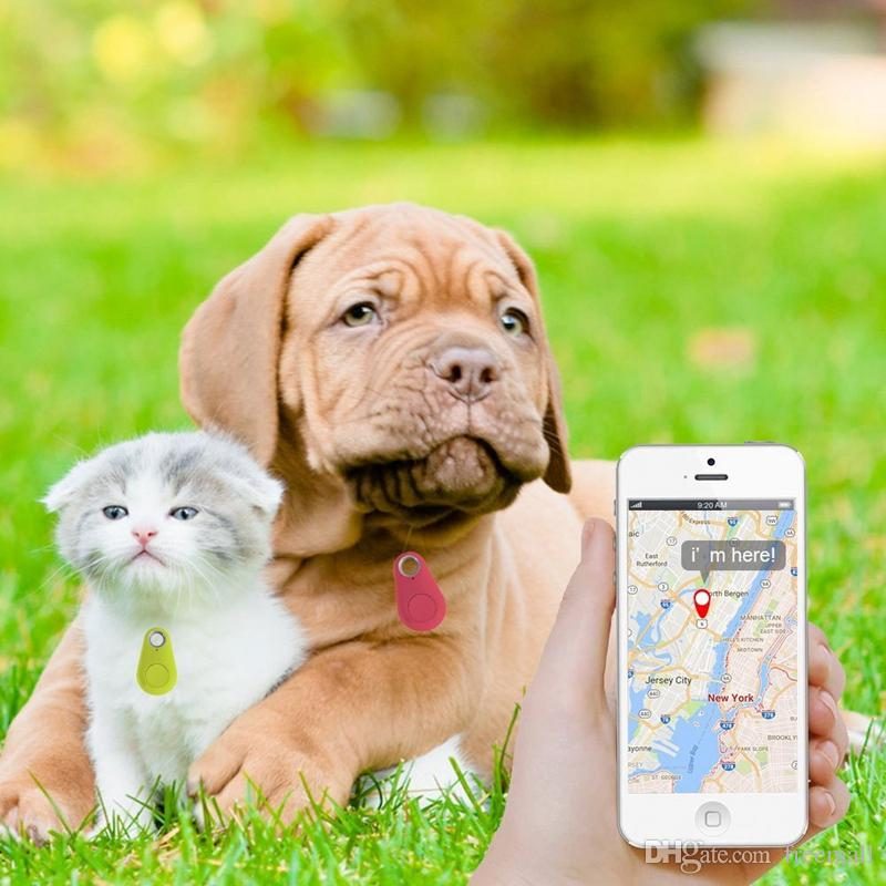 Kedi&Köpek Bluetoothlu GPS Kayıp Cihazı