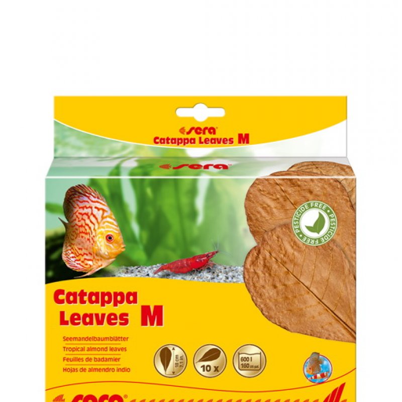 Sera Catappa Yaprağı M 18 Cm 10lu Paket