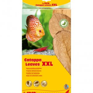 Sera Catappa Yaprağı XXL 32 Cm 10lu Paket